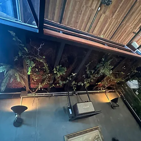 New York Loft & Japanese Magic By V4Skin